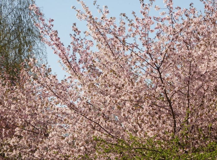 ���� ������.