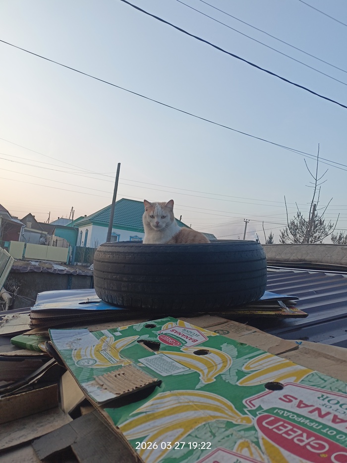 � ���������� ���� �� ���������� �����
