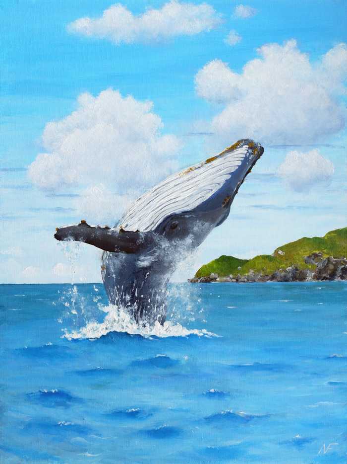 ����� ����� � �������. ����� �� ��������, �����. 30�40 ��. 2026 �.