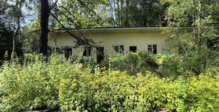 ��� �� ������ �� ������� ����������� ����.