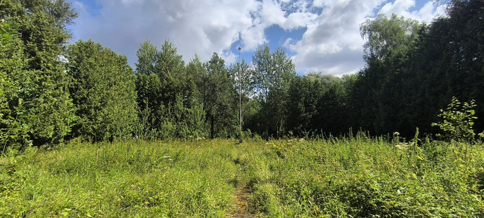 ���������� �������. ��������������� ����������� �������, �� ������� �������� ����.