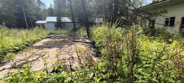 ������� �������.