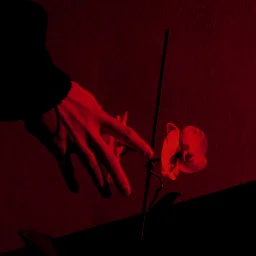 imortalsoulart