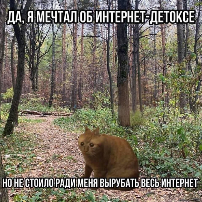 �� ���? ����������� ?