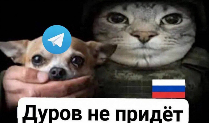 Но деньги собрал