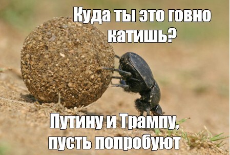 �� �����