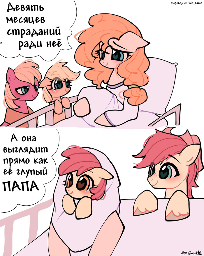 ���� ����