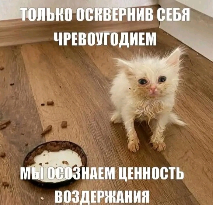 Не жри