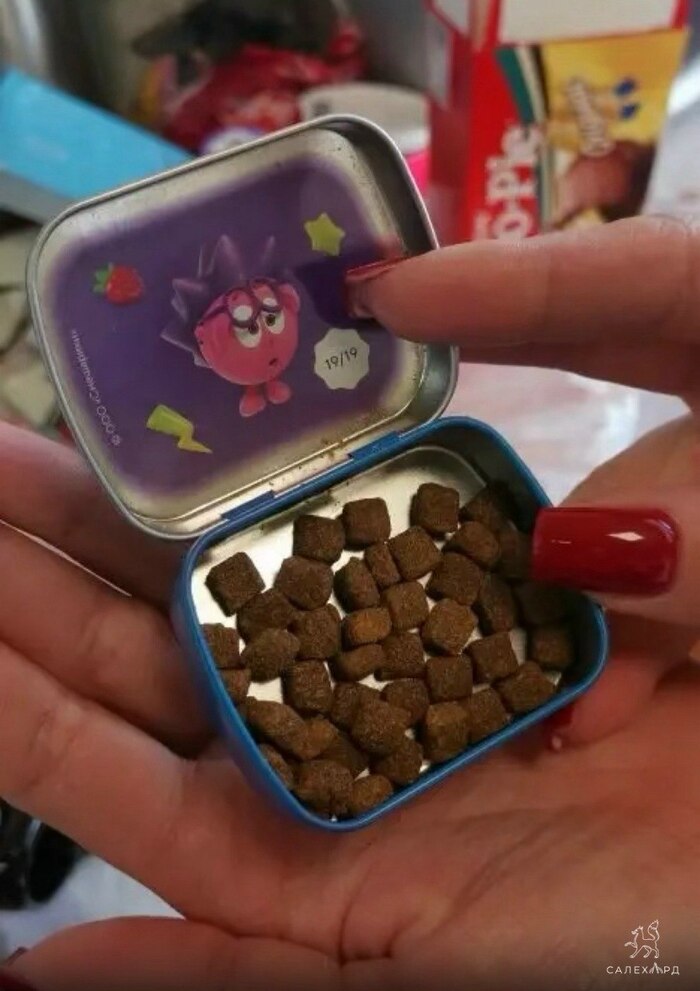 ����� ����� ����������������� ������