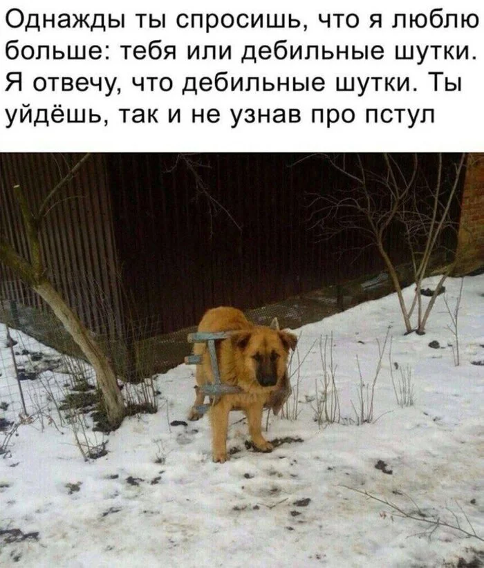 qg5sad3j.webp