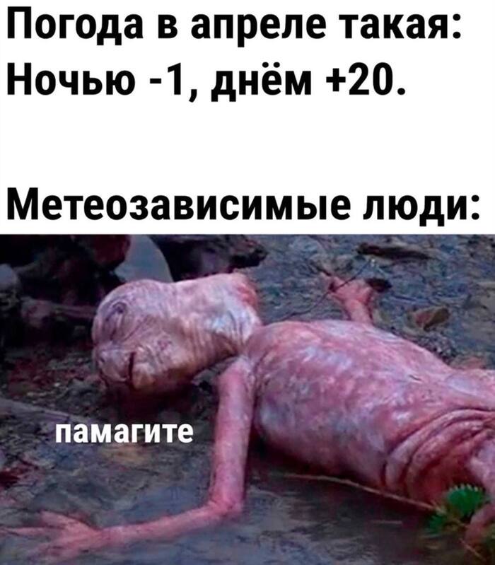 ��� �����
