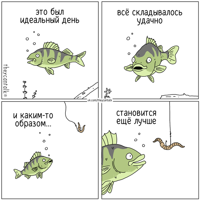 ��������� ����