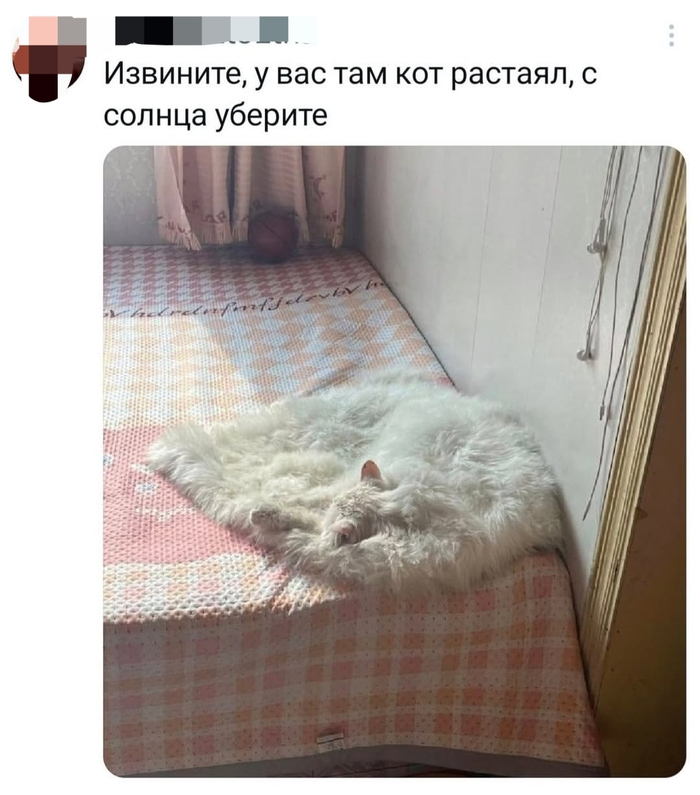 ������ � ������