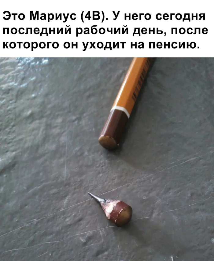lensakpb.webp