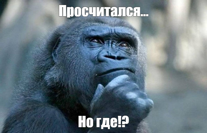 ������ ����