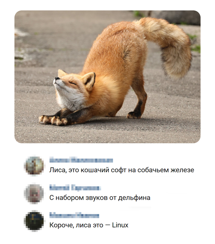 ������ ���� ������