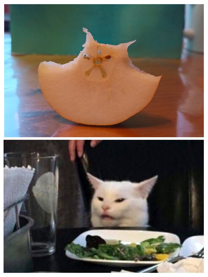 ����������...