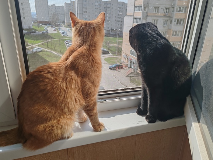 ������� ������