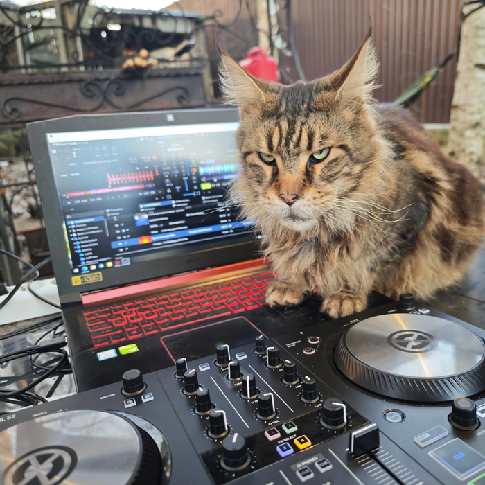 Dj. ����