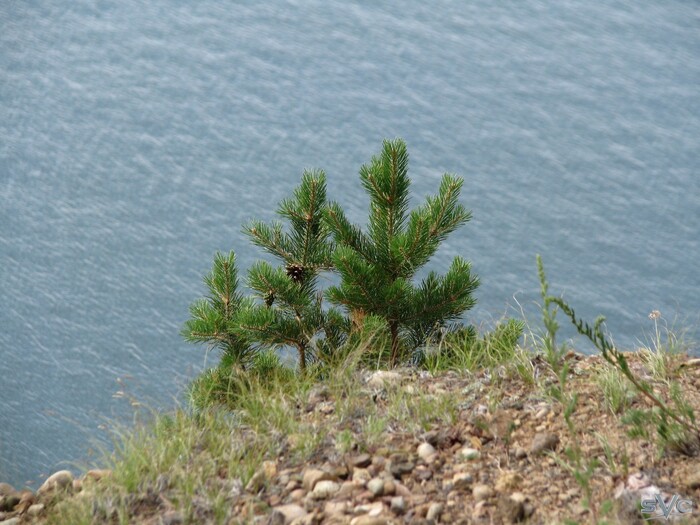 ��� ������... �� �������� ��� ���