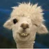 Leechnost69