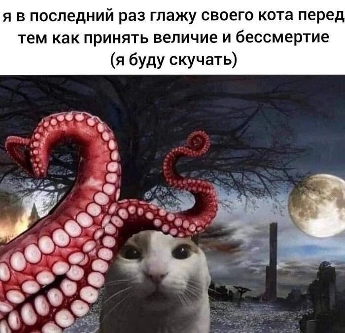 Кошки... Кошки это хорошо