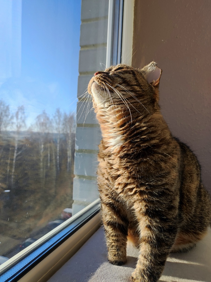 ������ ��������� �������