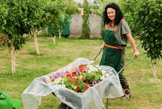 Top 10 Garden Tools: Opening the 2026 Season - Dacha, Garden tools, Garden, Gardening, Growing, Land plot, Plant growing, Longpost