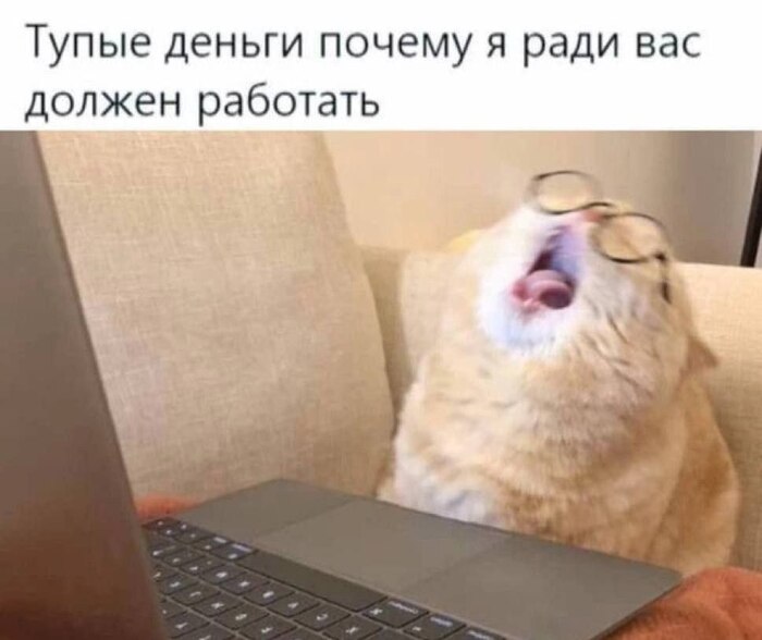 Понедельниковая порция мемов - 06.04.26 21:107