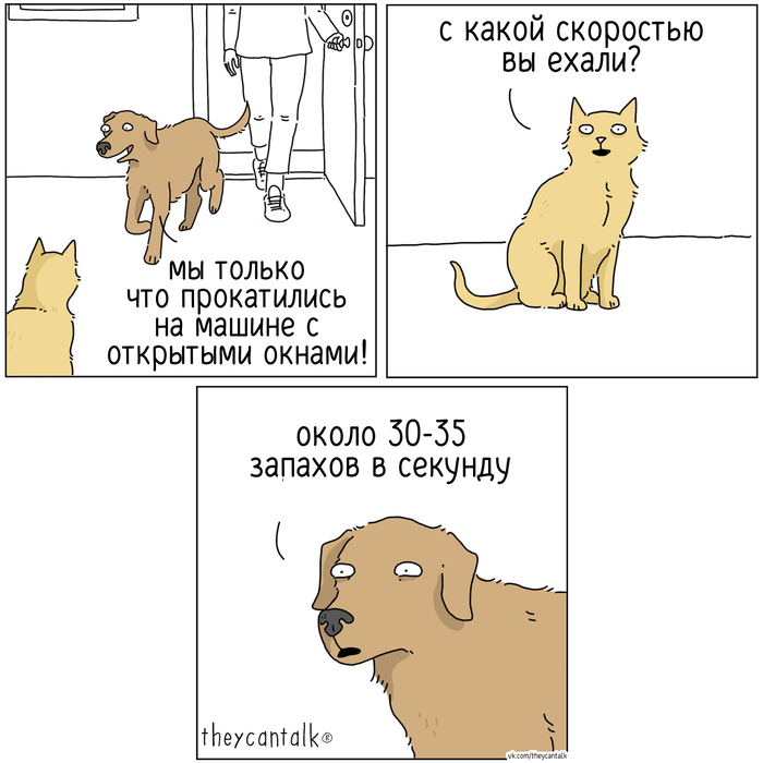 ������� ������� ���������