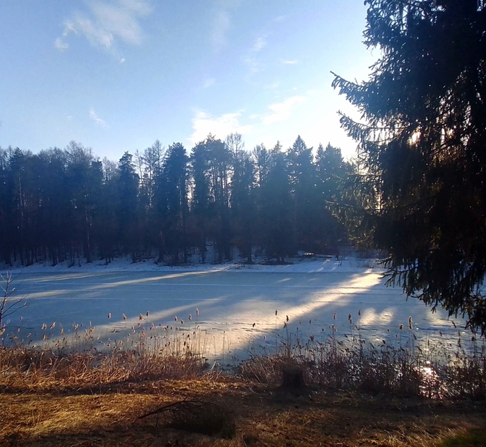 ����� �����. ����