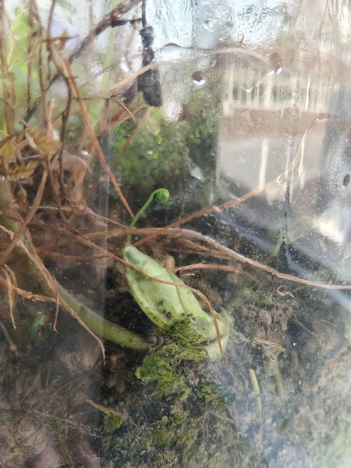 ����: ������ �����