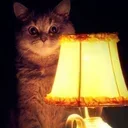 ������ ���������� "�������� �����"