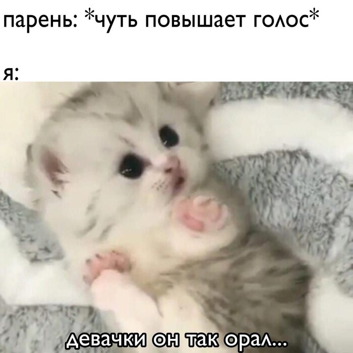 �������, �� �������!