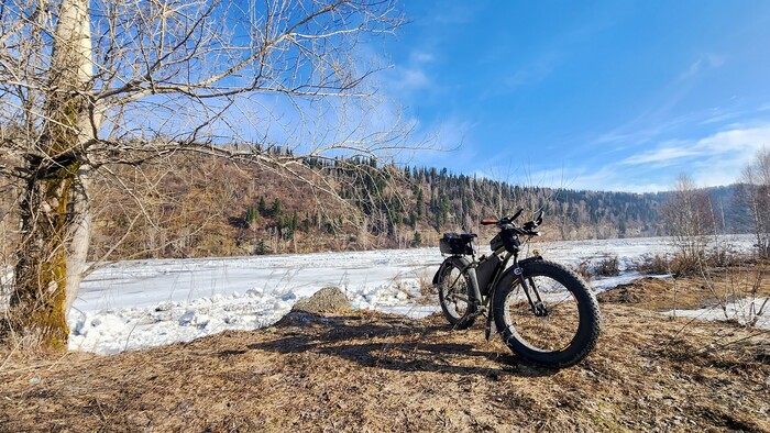 � ��� ���� ���� ������ ����������