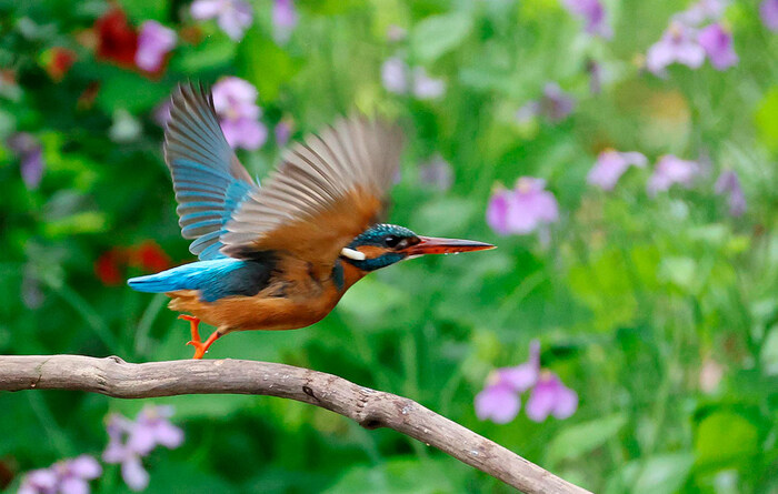 ��������� � �����//����: Sipa USA/����