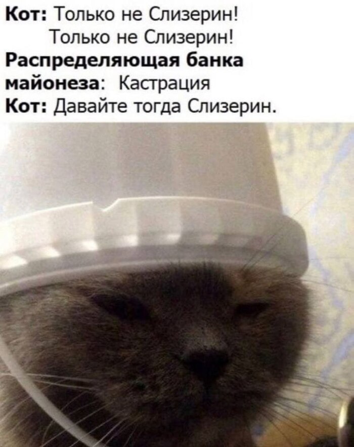 ������� ����� ����� ���������