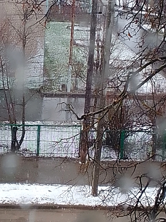 ����� �����. ���� �� ����