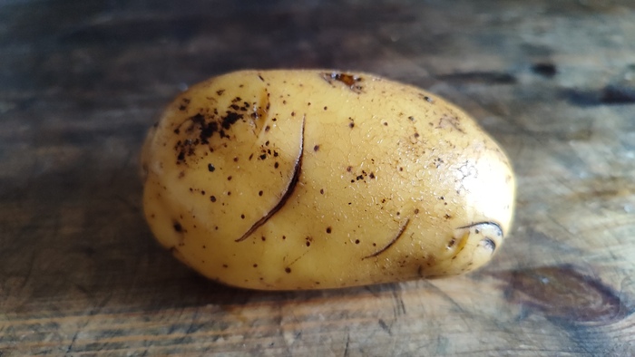 Батьки на них нет!