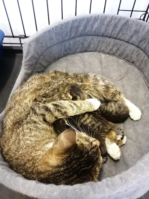 ��� +4 ������ (� � ����� +5) � ����-������