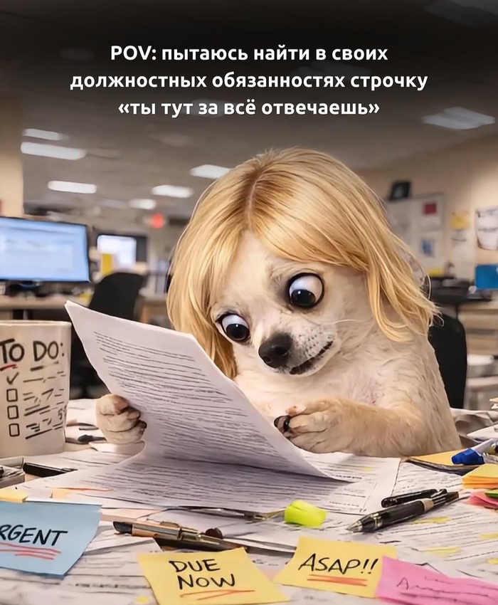 �� ������ ����