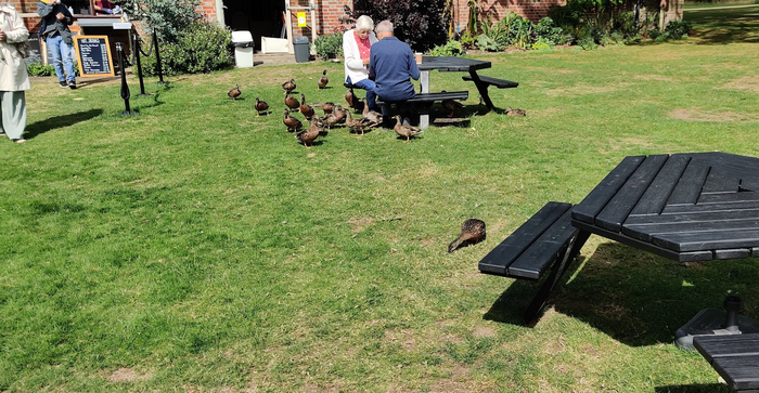 ����� ����� ������� ��-�� ���������� ������ ���������� ���������� :)