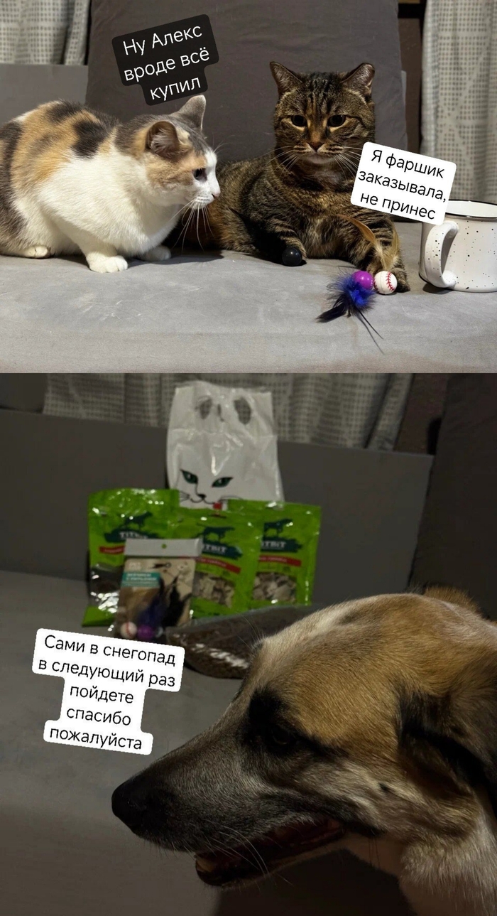 Как хорошо наконец- то вечером засесть с чаечком после снежного вечера и сложного дня