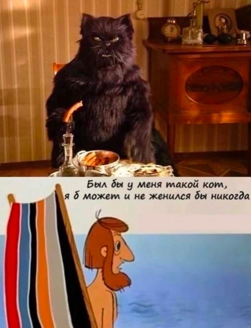 Был бы меня такой кот...