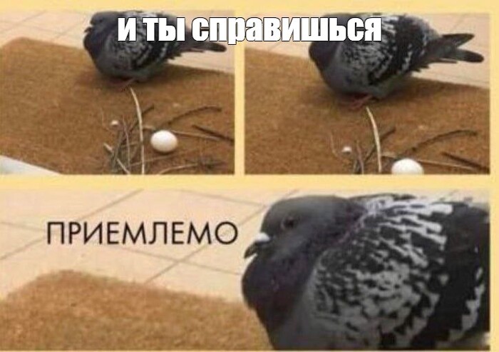 Ответ на пост «Туристы б...»