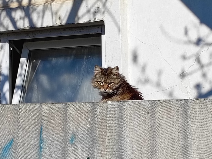 ��, ��������, �������! ��, ���� �� �������!