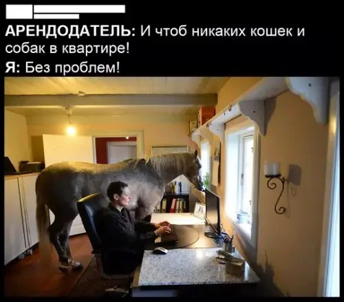 ����� �� ���� ��������� ���� ��� ����� � ���������