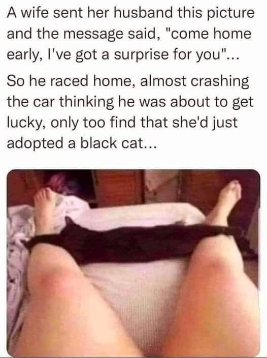 ���� �������� ����: �������� ��������, � ���� ���� �������. �� ��������� � ��������� ��� ��� ��������� ����� ����.