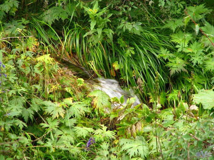 Вкусный источник питьевой воды
