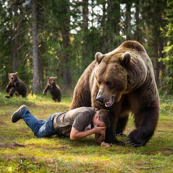 ����������. (������)